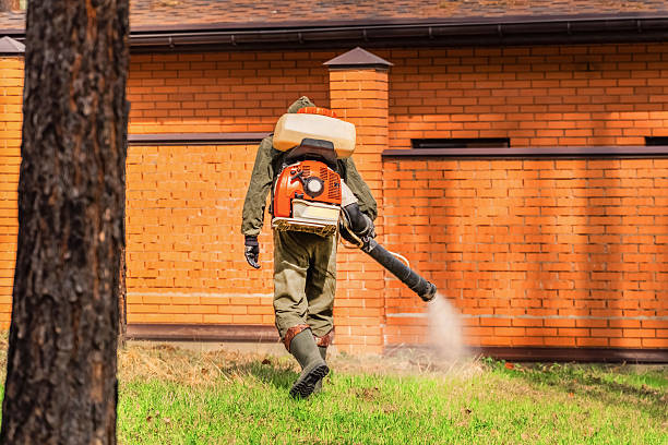 Trusted Cockroach Control service in Brockport, NY - Nex Pest Control